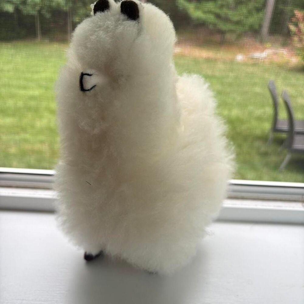 Unbranded White and Cream Stuffed-animals